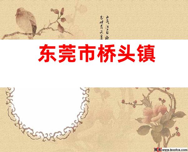 东莞市桥头镇